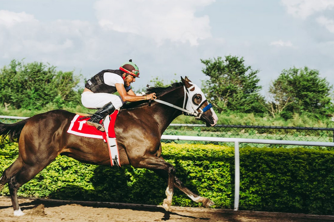 horse race bets